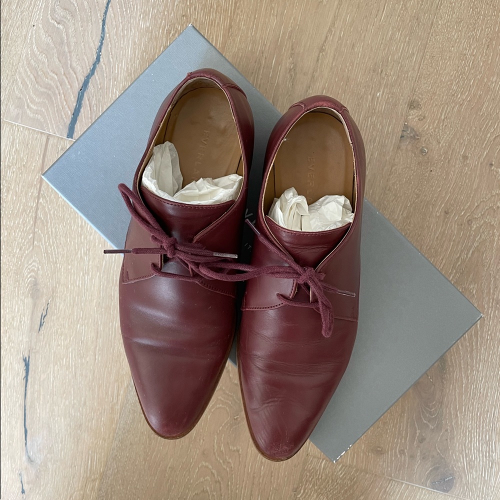 Everlane Modern Oxford in Oxblood